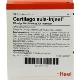 CARTILAGO suis Injeel ampoules, 10 pcs