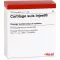 CARTILAGO suis Injeel ampoules, 10 pcs