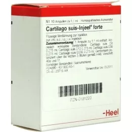 CARTILAGO suis Injeel forte ampoules, 10 pcs