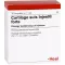 CARTILAGO suis Injeel forte ampoules, 10 pcs