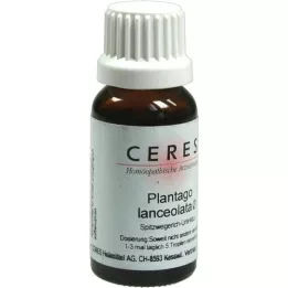 CERES Plantago lanceolata mother tincture, 20 ml
