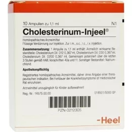 CHOLESTERINUM INJEEL Ampoules, 10 pcs