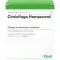 CIMICIFUGA HOMACCORD Ampoules, 10 pcs