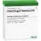 CIMICIFUGA HOMACCORD Ampoules, 10 pcs