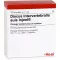 DISCUS INTERVERTEBRALIS suis Injeel ampoules, 10 pcs