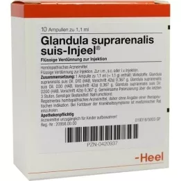 GLANDULA SUPRARENALIS suis Injeel ampoules, 10 pcs