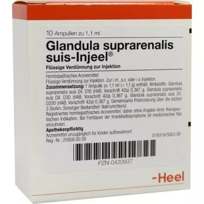 GLANDULA SUPRARENALIS suis Injeel ampoules, 10 pcs