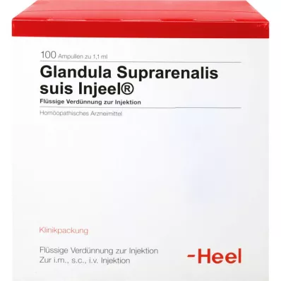 GLANDULA SUPRARENALIS suis Injeel ampoules, 100 pcs GLANDULA SUPRARENALIS suis Injeel ampoules, 100 pcs