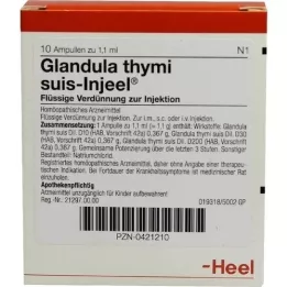 GLANDULA THYMI suis Injeel ampoules, 10 pcs