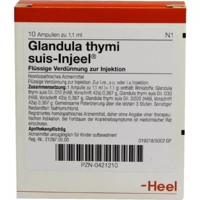GLANDULA THYMI suis Injeel ampoules, 10 pcs