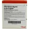 GLANDULA THYMI suis Injeel ampoules, 10 pcs