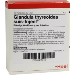 GLANDULA THYREOIDEA suis Injeel ampoules, 10 pcs