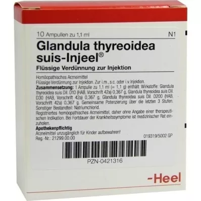 GLANDULA THYREOIDEA suis Injeel ampoules, 10 pcs GLANDULA THYREOIDEA suis Injeel ampoules, 10 pcs