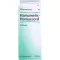 HAMAMELIS HOMACCORD Drops, 30 ml