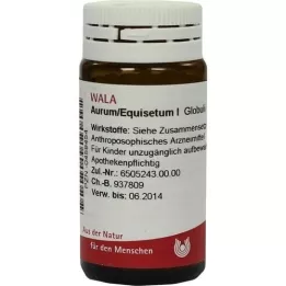 AURUM/EQUISETUM I globules, 20 g
