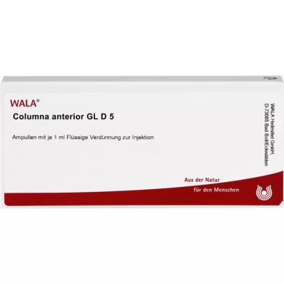 COLUMNA anterior GL D 5 ampoules, 10X1 ml