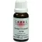 CERES Ginkgo dryopteris comp. drops, 20 ml