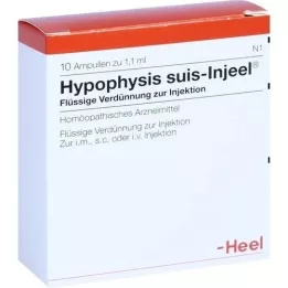 HYPOPHYSIS SUIS Injeel ampoules, 10 pcs