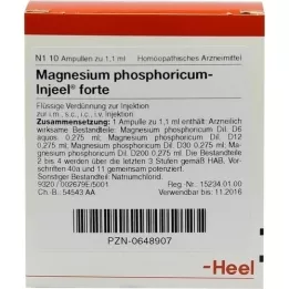 MAGNESIUM PHOSPHORICUM INJEEL forte ampoules, 10 pcs