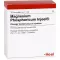 MAGNESIUM PHOSPHORICUM INJEEL forte ampoules, 10 pcs