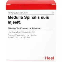 MEDULLA SPINALIS suis Injeel ampoules, 10 pcs