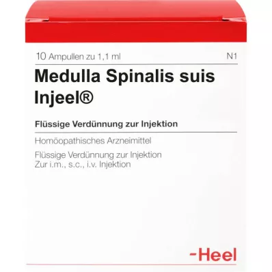MEDULLA SPINALIS suis Injeel ampoules, 10 pcs MEDULLA SPINALIS suis Injeel ampoules, 10 pcs