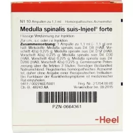 MEDULLA SPINALIS suis Injeel forte ampoules, 10 pcs