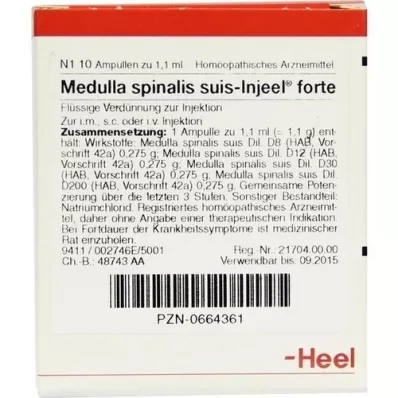 MEDULLA SPINALIS suis Injeel forte ampoules, 10 pcs