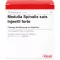 MEDULLA SPINALIS suis Injeel forte ampoules, 10 pcs