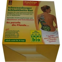 SCHLANKHEITSKUR Fruity Schoenenberger, 1 p