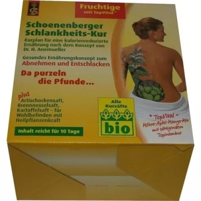 SCHLANKHEITSKUR Fruity Schoenenberger, 1 p SCHLANKHEITSKUR Fruity Schoenenberger, 1 p