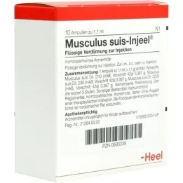 MUSCULUS SUIS Injeel ampoules, 10 pcs