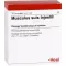 MUSCULUS SUIS Injeel ampoules, 10 pcs