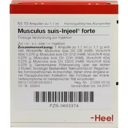 MUSCULUS SUIS Injeel forte ampoules, 10 pcs