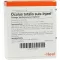 OCULUS totalis suis Injeel ampoules, 10 pcs