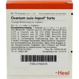 OVARIUM SUIS Injeel forte ampoules, 10 pcs