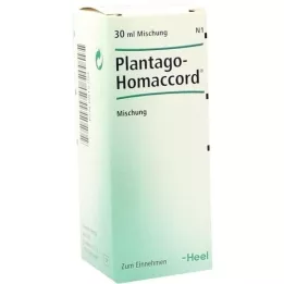 PLANTAGO HOMACCORD Drops, 30 ml