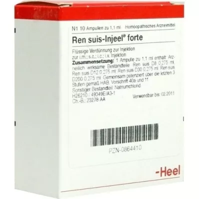 REN suis Injeel forte ampoules, 10 pcs