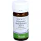 PFLÜGERPLEX Rhododendron 307 H tablets, 100 pcs