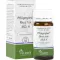 PFLÜGERPLEX Rhus tox.353 H tablets, 100 pcs