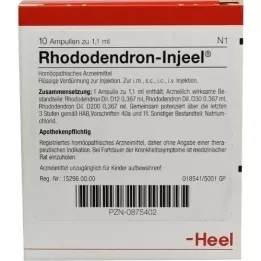 RHODODENDRON INJEEL Ampoules, 10 pcs