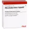 RHODODENDRON INJEEL Ampoules, 10 pcs