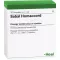 SABAL HOMACCORD Ampoules, 10 pcs