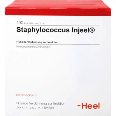 STAPHYLOCOCCUS INJEEL Ampoules, 100 pcs STAPHYLOCOCCUS INJEEL Ampoules, 100 pcs