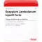 SYZYGIUM JAMBOLANUM INJEEL forte ampoules, 10 pcs