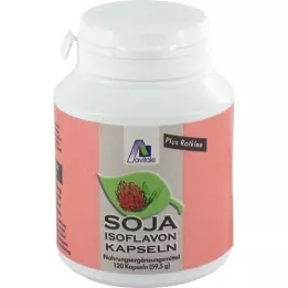 SOJA ISOFLAVON Capsules 60 mg+E, 120 pcs