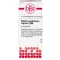 STIBIUM SULFURATUM NIGRUM C 200 globules, 10 g
