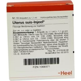 UTERUS SUIS Injeel ampoules, 10 pcs