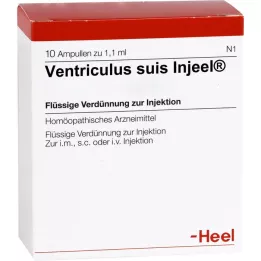 VENTRICULUS SUIS Injeel ampoules, 10 pcs