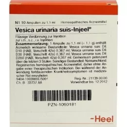 VESICA URINARIA suis-Injeel ampoules, 10 pcs